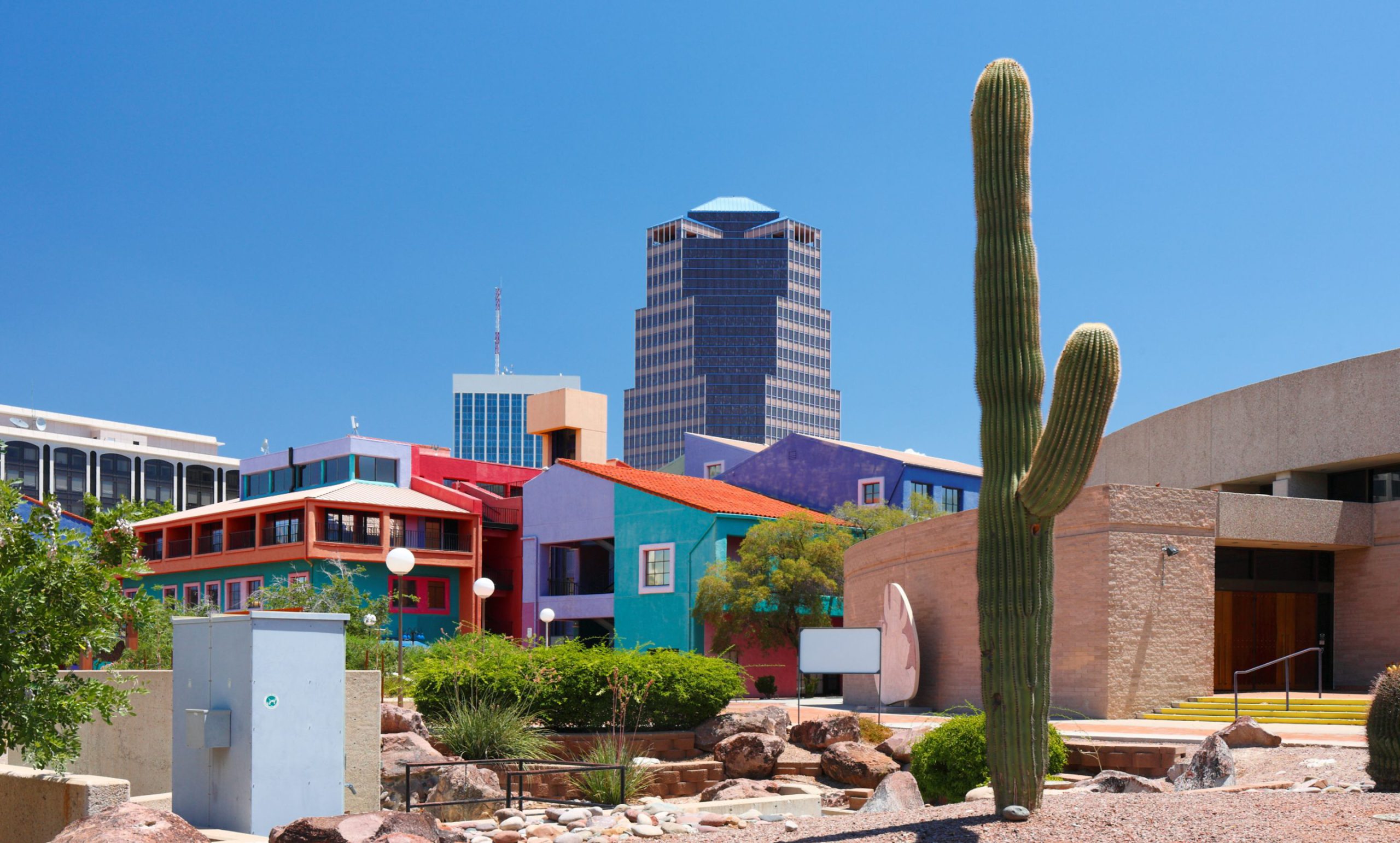 Colorful adobe row houses in downtown Tucson, with a high-rise behind them and a saguaro cactus